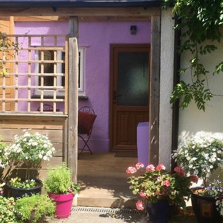 Cute Self-Contained Guest Room With Ensuite And Private Decked Porch In Glastonbury Kültér fotó